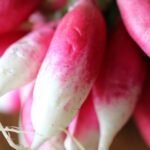 Radish Red Vegetable Seeds