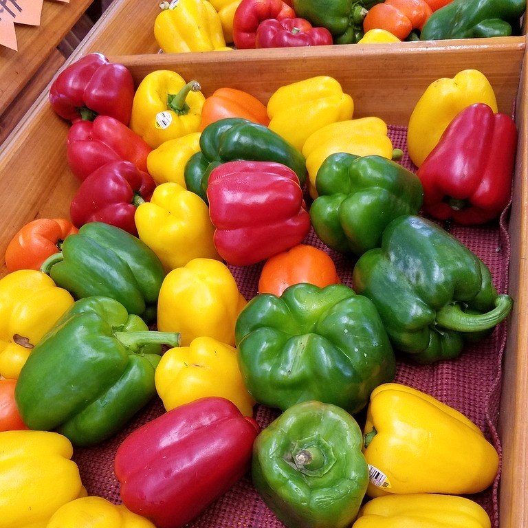 Capsicum Mix Color Hybrid Shimla Mirch Vegetable Seeds