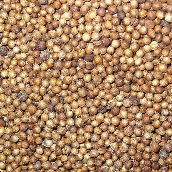 Coriander Leaves Dhania Patti Herb Seeds