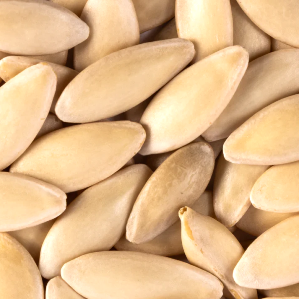Cucumber Kheera F1 Vegetable Seeds