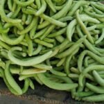 Kakri Long Melon Vegetable Seeds