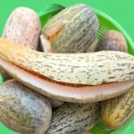 Long Foot Desi Kachariya Senat Fruit Vegetable Seeds