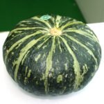 Pumpkin Sitafal Kaddu Vegetable Seeds
