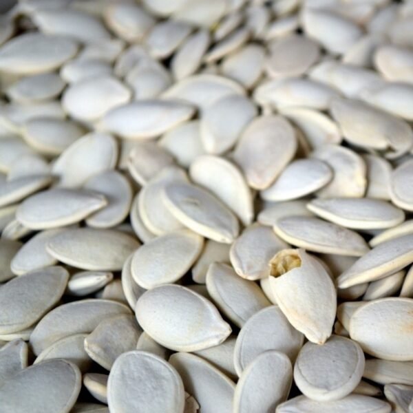 Pumpkin Sitafal Kaddu Vegetable Seeds