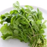 Rocket Salad Arugula Herb Vegetable Seeds