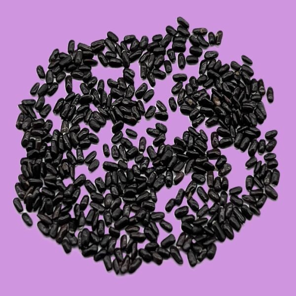 Lavender English Herb Seeds