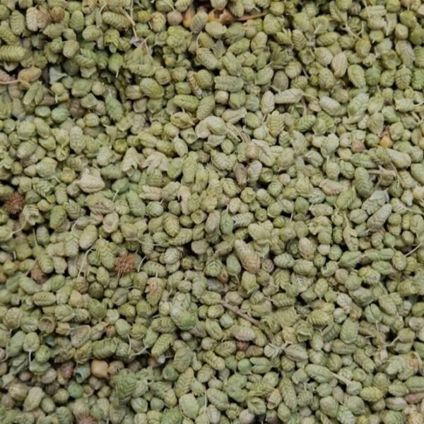 Oregano Herb Seeds
