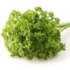 Parsley Curled Moss Imported Herb Seeds