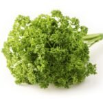 Parsley Curled Moss Imported Herb Seeds