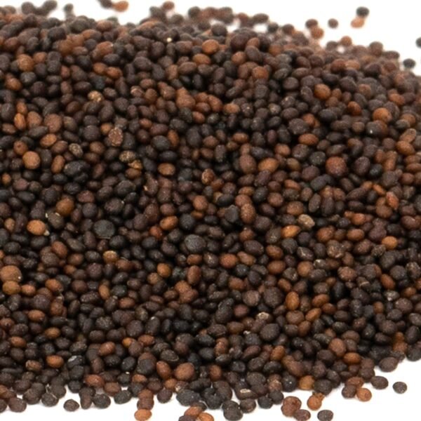 Thyme Thymus Vulgaris Herb Seeds