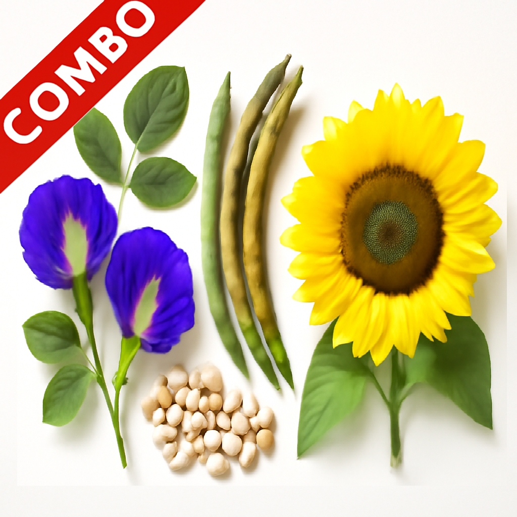 Kitchen Garden Pack-04(Aparajita Clitoria Ternatea Butterfly Pea, Cowpea Beans Lobia Phali, Sunflower Russian Giant Surajmukhi) 