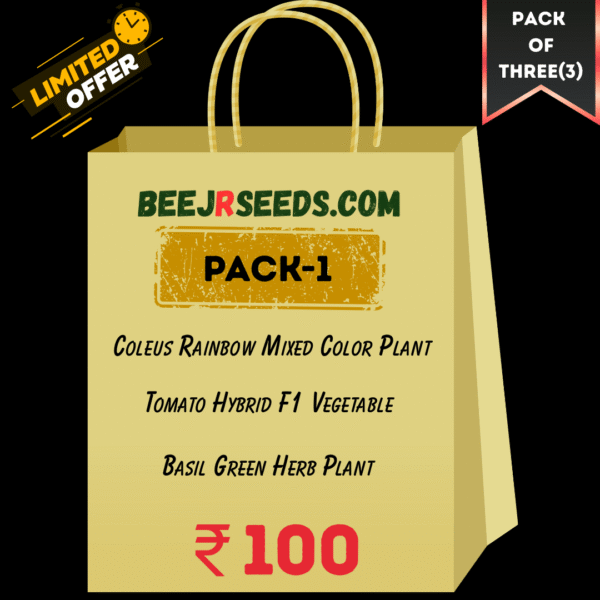 Pack-of-3-KitchenGarden-01