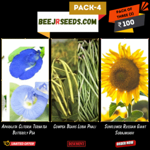 Kitchen Garden Pack-04(Aparajita Clitoria Ternatea Butterfly Pea, Cowpea Beans Lobia Phali, Sunflower Russian Giant Surajmukhi) 