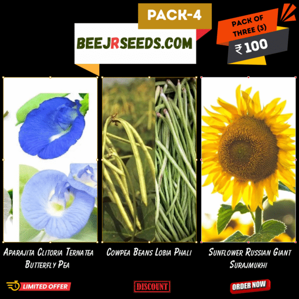 Kitchen Garden Pack-04(Aparajita Clitoria Ternatea Butterfly Pea, Cowpea Beans Lobia Phali, Sunflower Russian Giant Surajmukhi) 