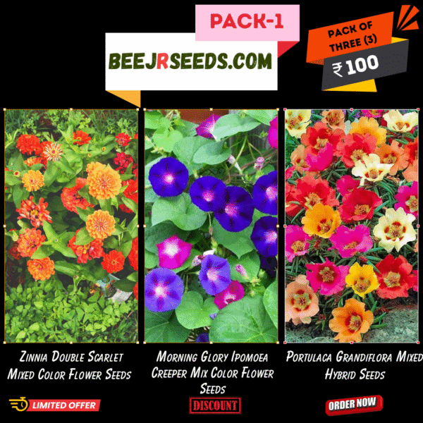 Summer Flower Pack-1 (Zinnia Double, Morning Glory, Portulaca)