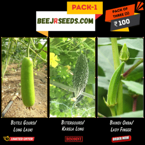 Mix Vegetable Seeds Pack-1