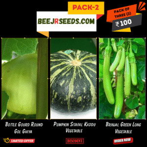 Summer Vegetable Pack-2 (Brinjal Green Long, Bottle Gourd Round, Pumpkin)