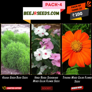 Summer Flower Pack-4 (Kochia Green Bush, Vinca Rosea Sadabahar Mixed, Tithonia Mixed Color Flower Seeds)