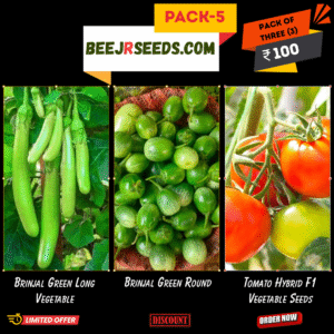 Summer Vegetable Pack-5 (Brinjal Green Long, Brinjal Green Round, Tomato Hybrid F1)