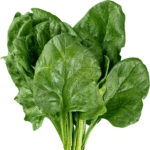 Spinach Hybrid Palak Vegetable Seeds