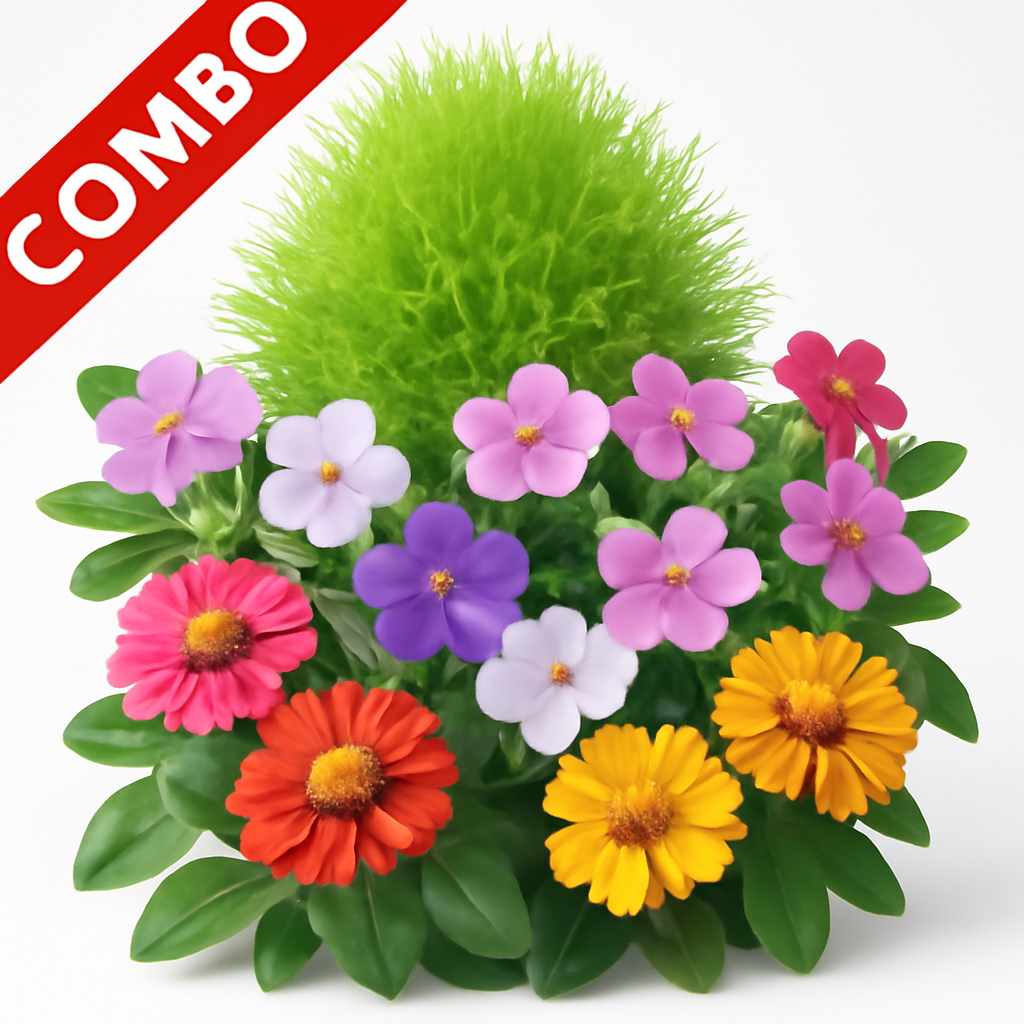 Summer Flower Pack-4 (Kochia Green Bush, Vinca Rosea Sadabahar Mixed, Tithonia Mixed Color Flower Seeds)