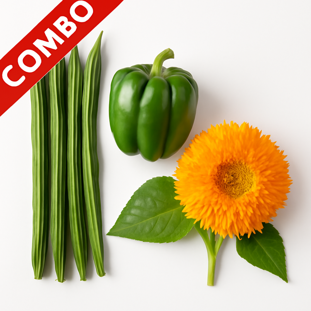 Kitchen Garden Pack-05 (Moringa Oleifera Drumstick Sahjan, Green Capsicum Shimla Mirch, Sunflower Teddy Bear)