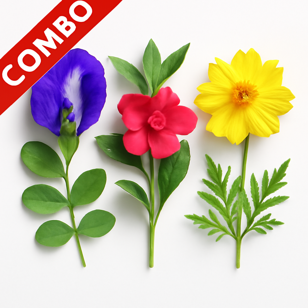 Summer Flower Pack-2 (Aparajita, Balsam Mixed, Cosmos Mixed)