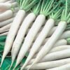 Radish White Long Desi Mooli Vegetable Seeds