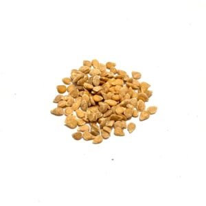 Yellow Tomato Honey Delight Hybrid Vegetable Seeds